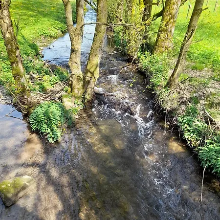 Casa vacanze Goldeiche Bad Berleburg