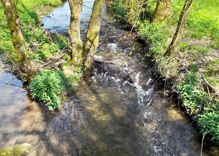 Vakantiehuis Goldeiche Bad Berleburg
